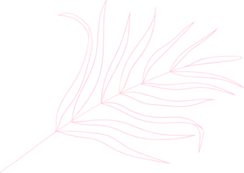 WOMAN COLLECTION <span>-50%</span>